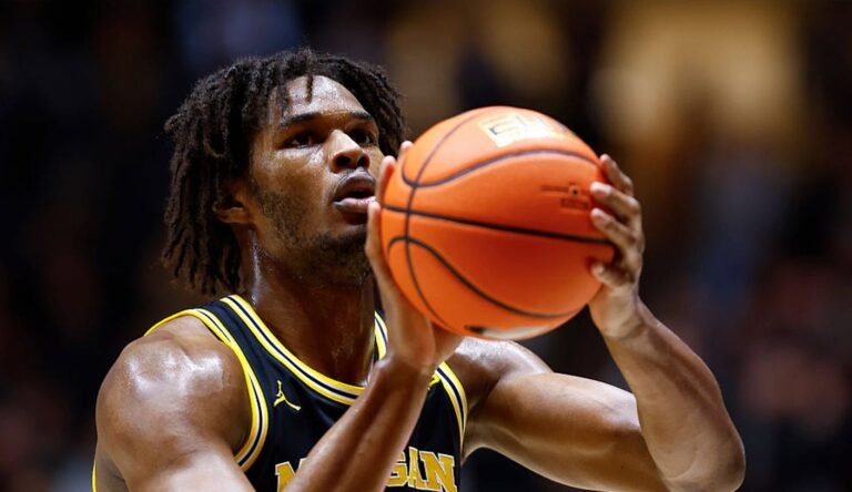Meet Michigan Forward Morez Johnson Jr.